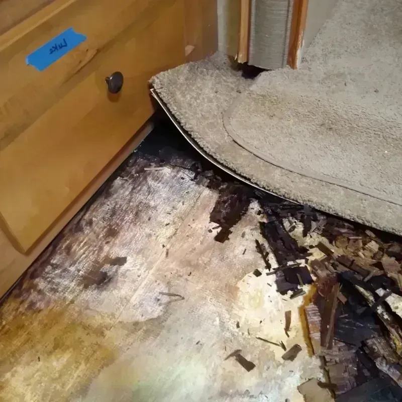 Wood Floor Water Damage in Franklin County, PA